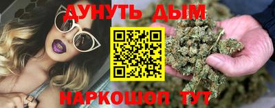 Альфа ПВП Владимир